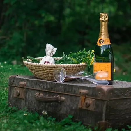 Gorska Mountain Villa *